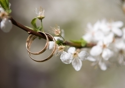 Av. Yavuz TEVİN' in Düğün Merasimi