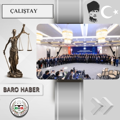 "Hukuk Mahkemelerinin Etkinliğinin Arttırılması " Çalıştayı