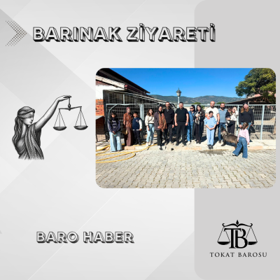 Hayvan Barınağı Ziyareti